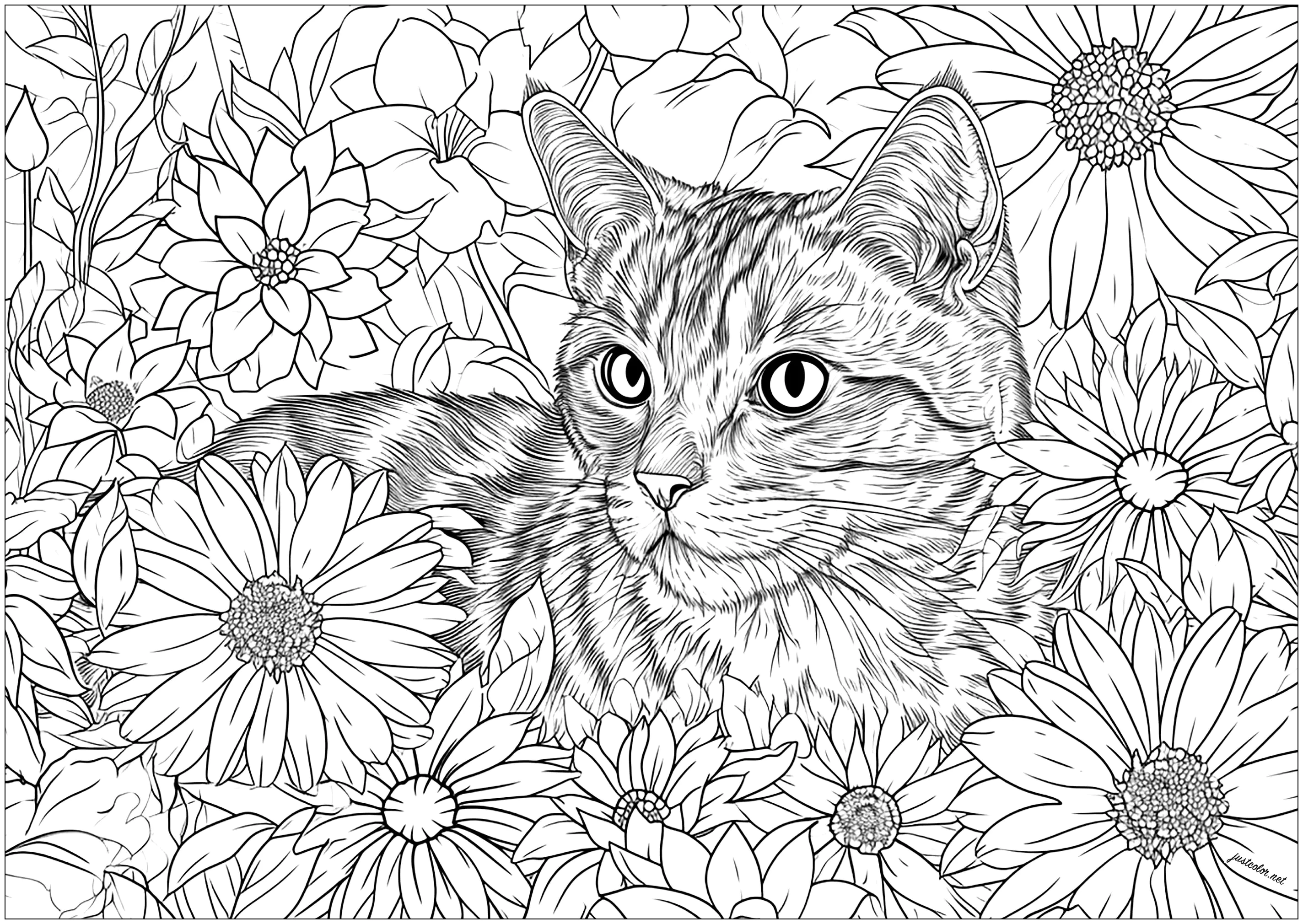 desenho para colorir realista
