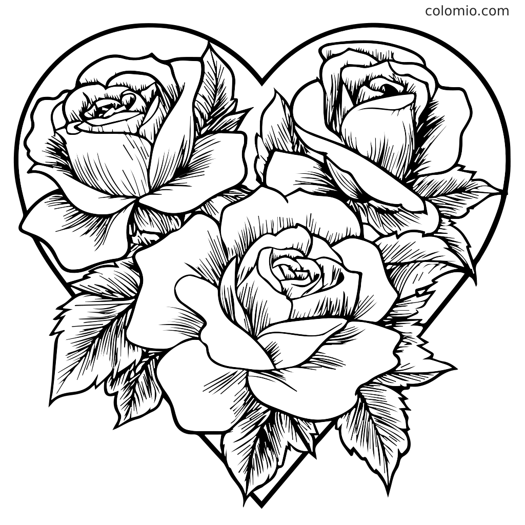 como desenhar uma rosa