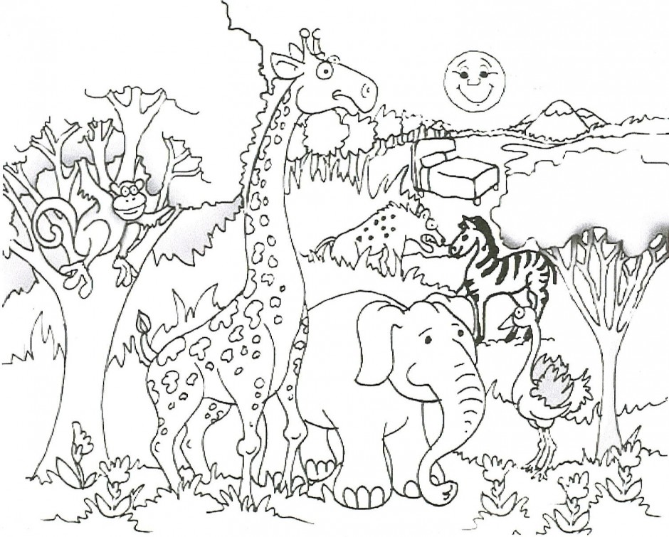 desenhos de animais selvagens para colorir