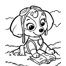 desenho Skye e Chase