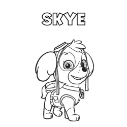 desenho Skye e Marshall