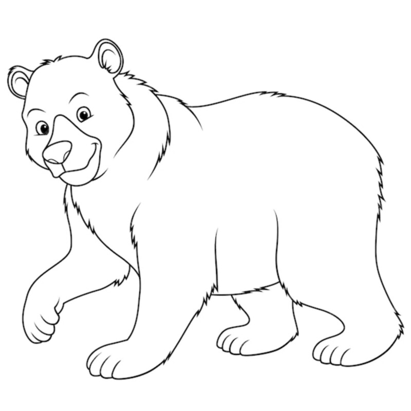 como desenhar um urso para colorir