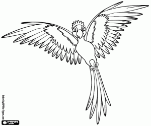 Onde Encontrar Desenhos Gratuitos de Paisagens Naturais com Rios