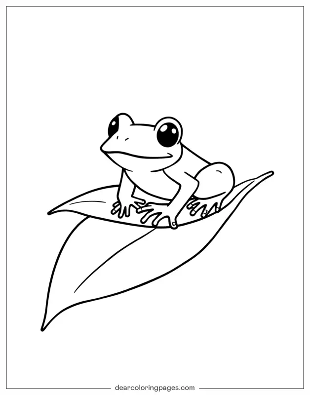 Aprenda sobre o ciclo de vida do sapo com desenhos para colorir