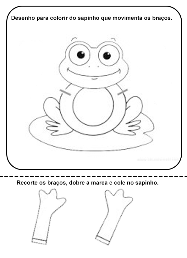 Guia completo: Como desenhar um sapo passo a passo