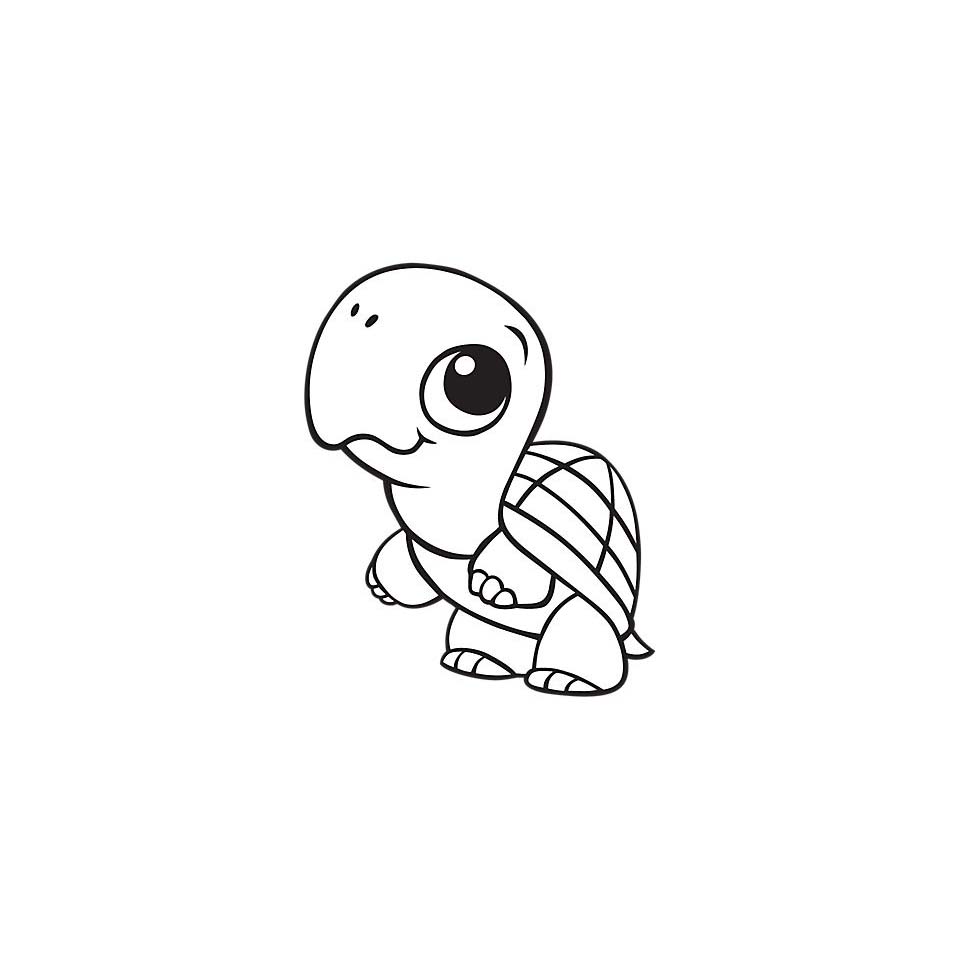 Como escolher o melhor desenho de tartaruga para cada idade