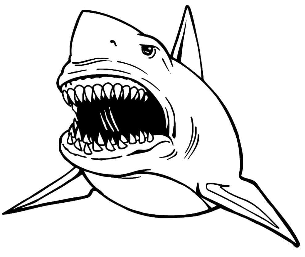 As Cores Reais dos Tubarões: Inspire-se para Colorir