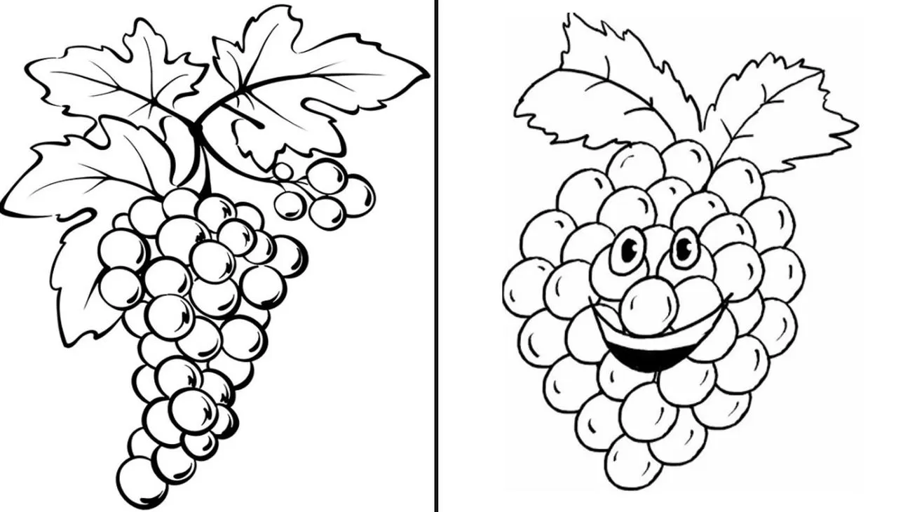 desenho uva para colorir