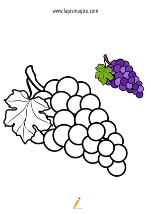 desenho uva para colorir