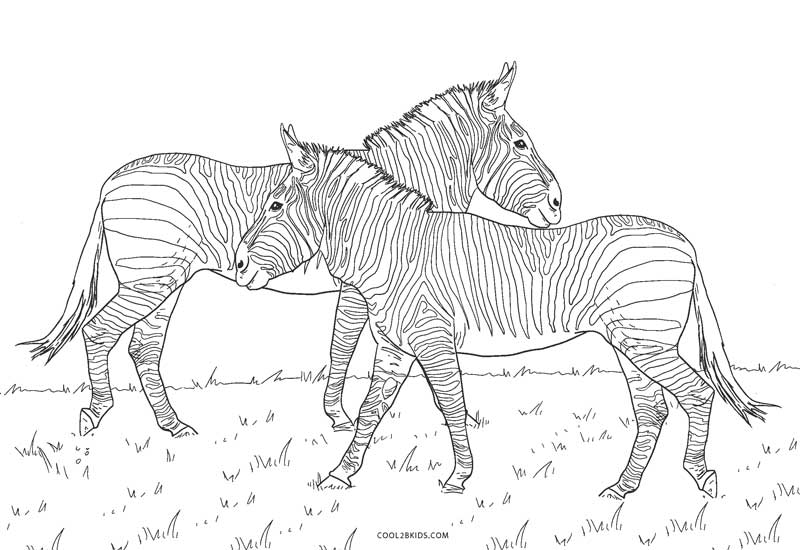 desenho zebra para colorir
