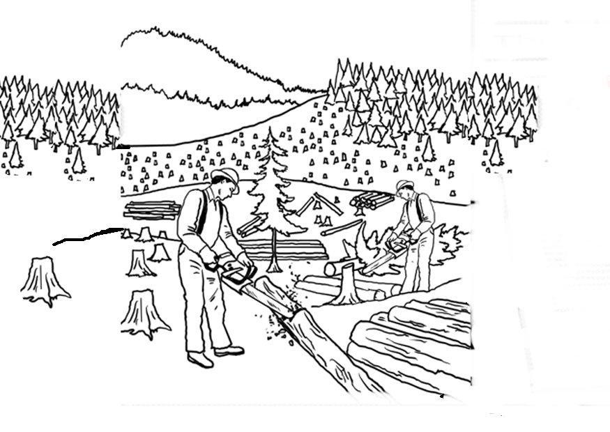 desenho para pintar sobre floresta