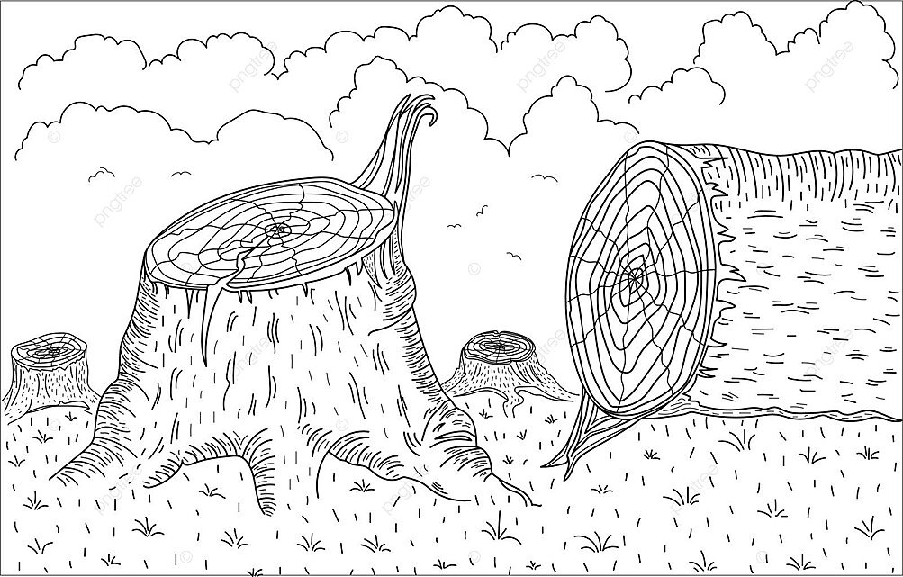 desenhos sobre preservação ambiental