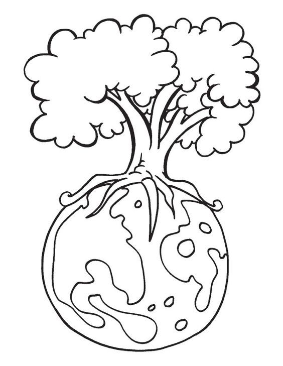 desenho para pintar sobre floresta