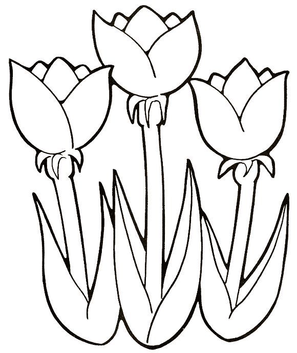 margaridas para colorir
