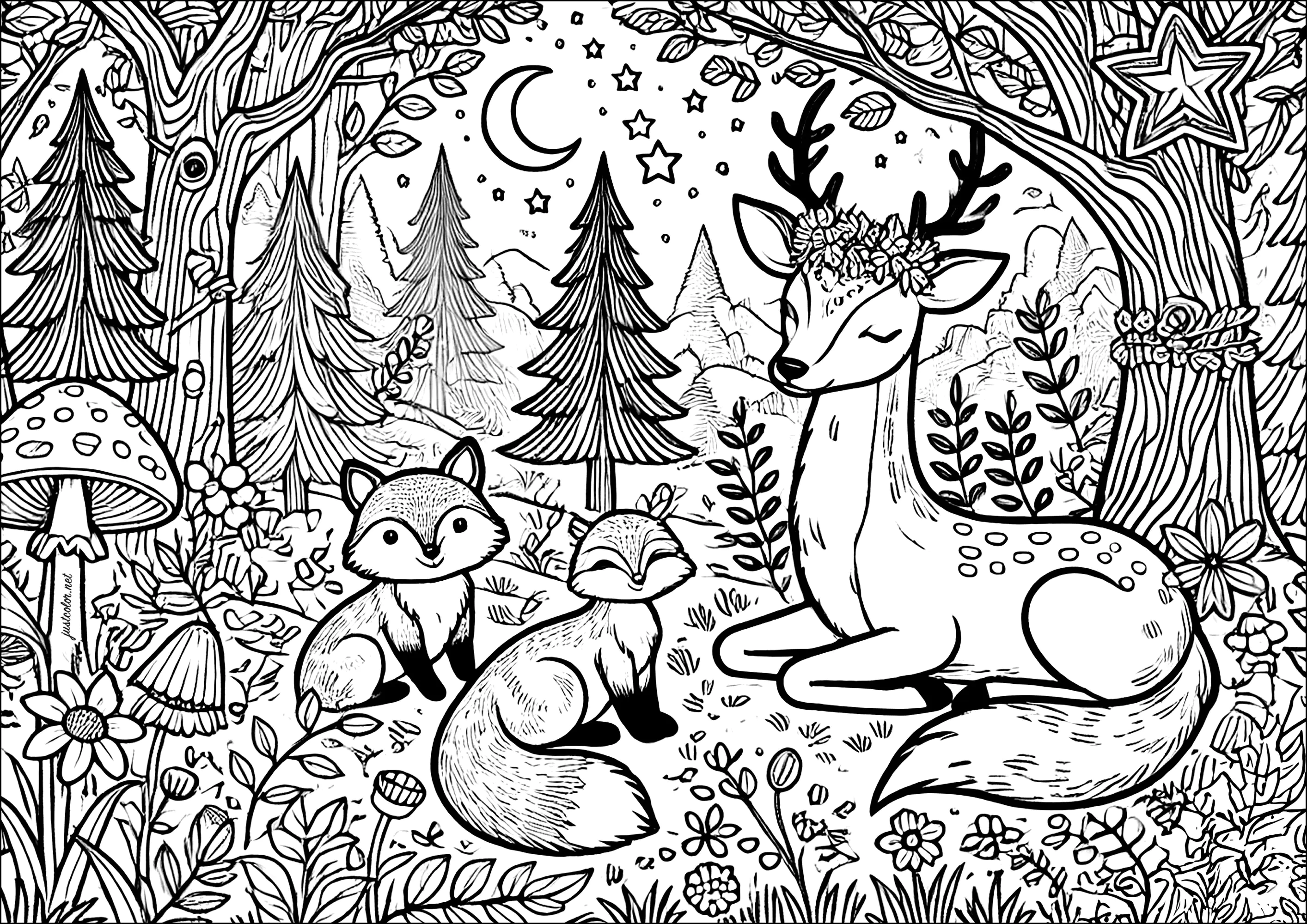 desenho de floresta com árvores para colorir