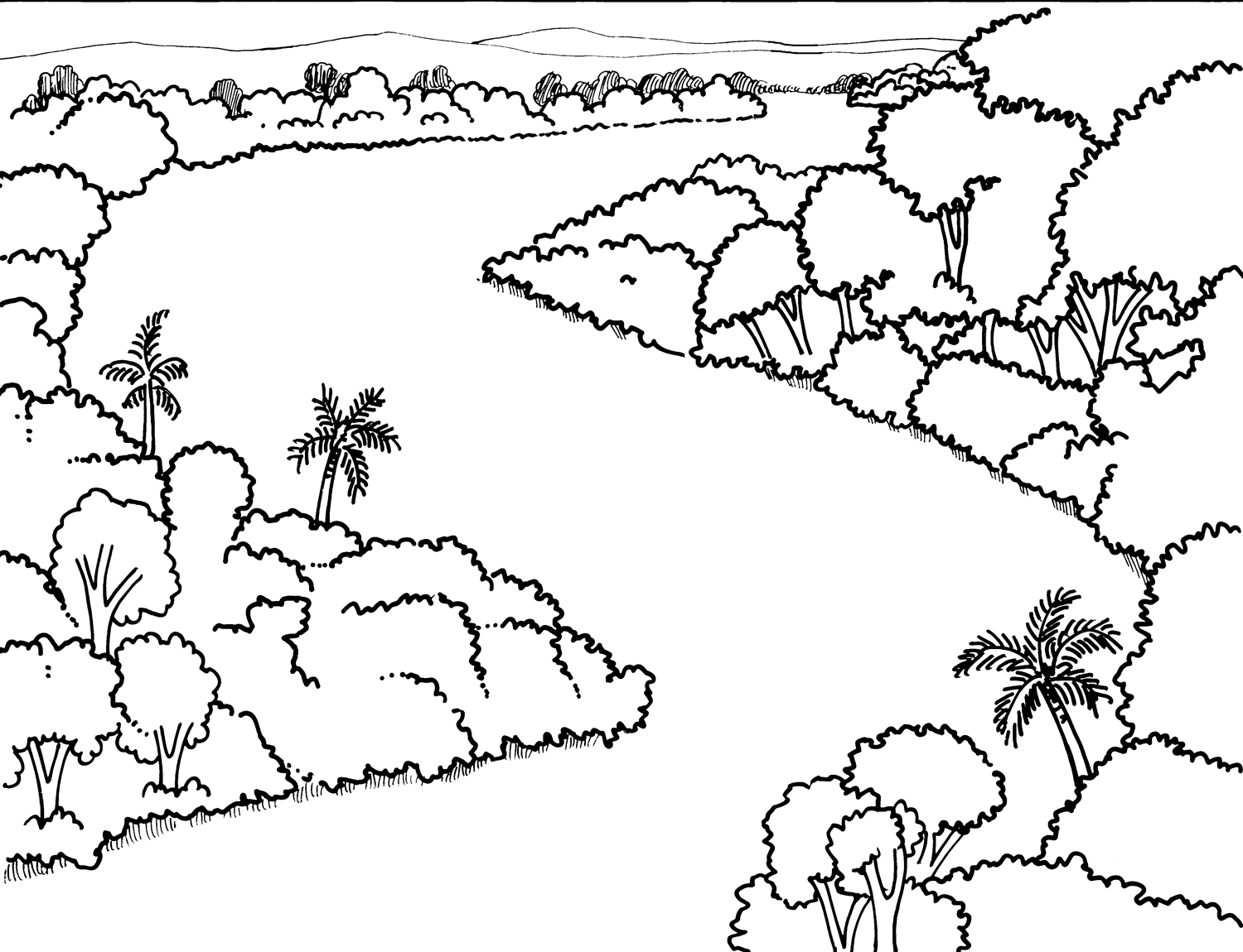 floresta desenho para colorir pinterest