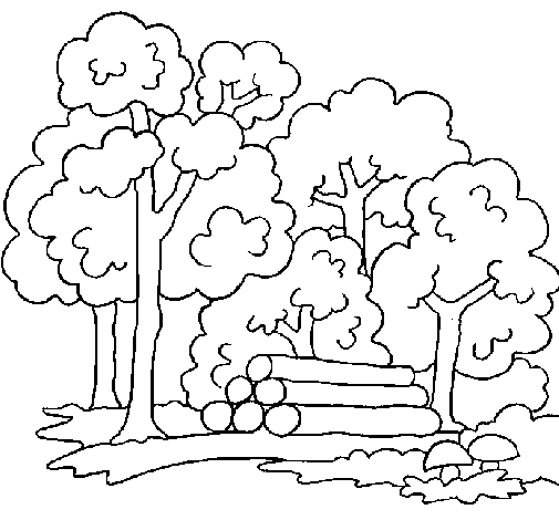 floresta desenho para colorir freepik