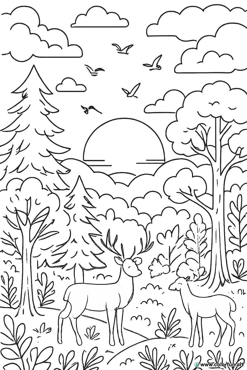 floresta desenho para colorir shutterstock