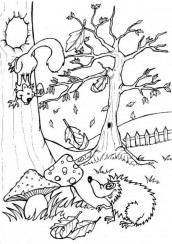 floresta desenho para colorir desenhosdecolorir