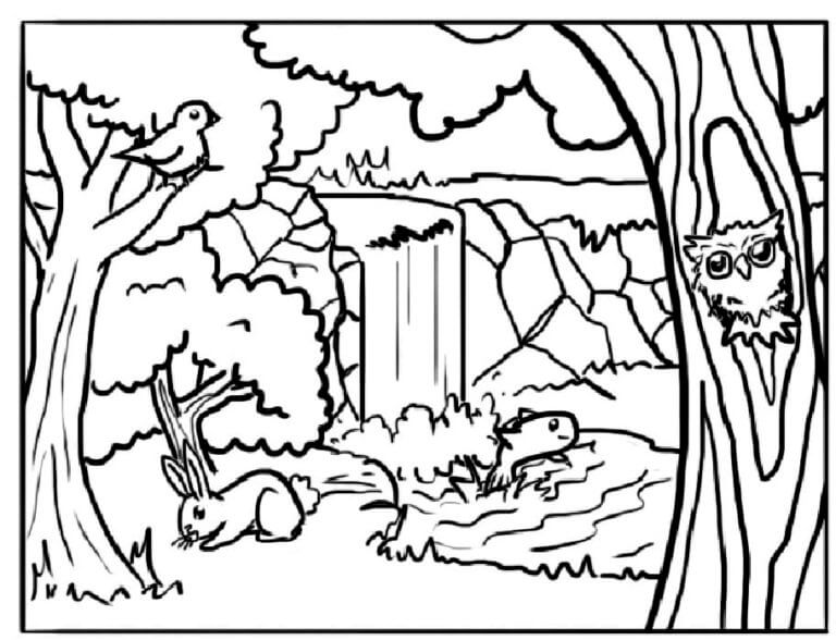 desenho de paisagem de floresta para colorir