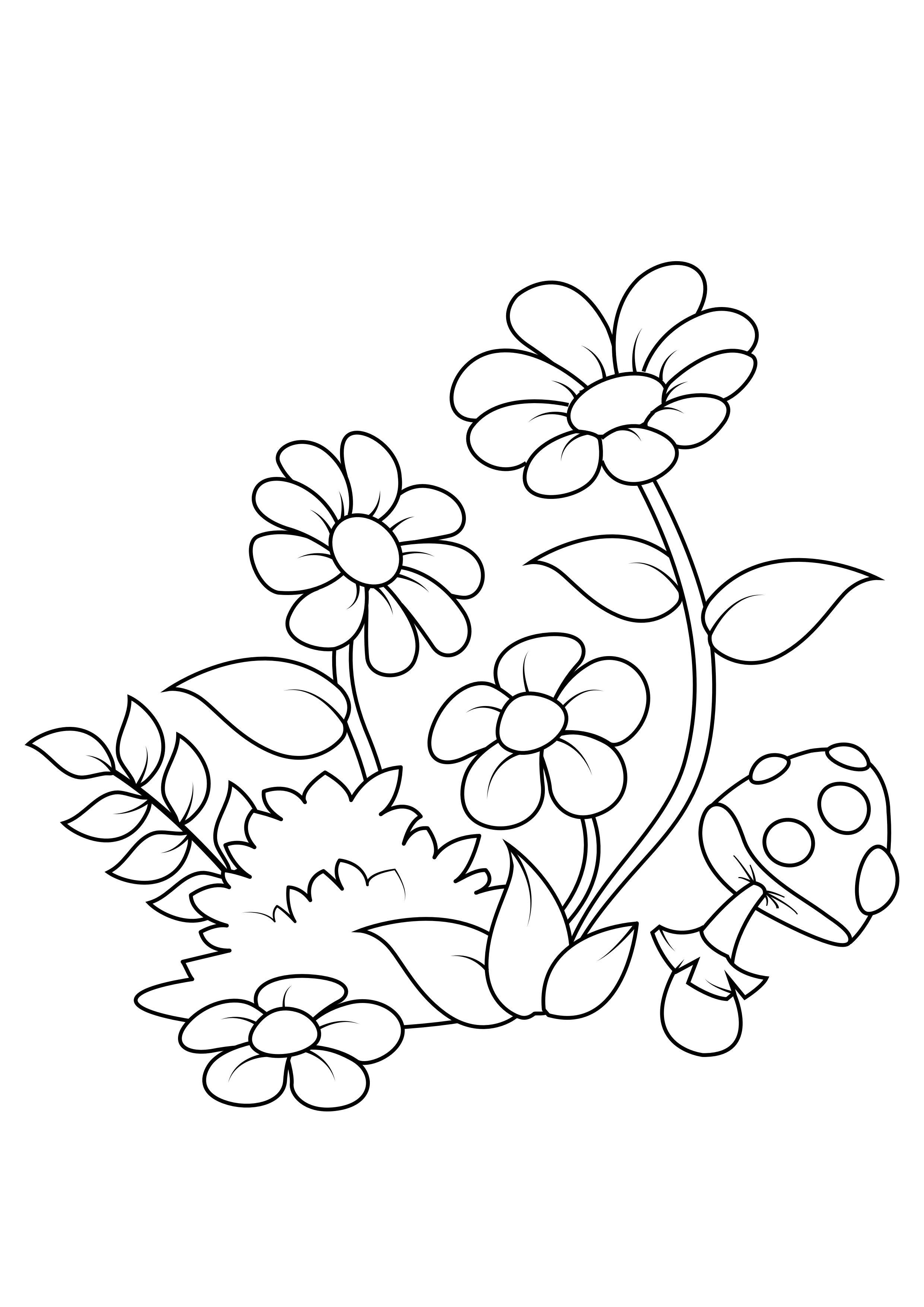 desenho de floresta com animais para colorir