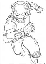desenhos de insetos para colorir