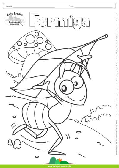 desenho de formiga para pintar