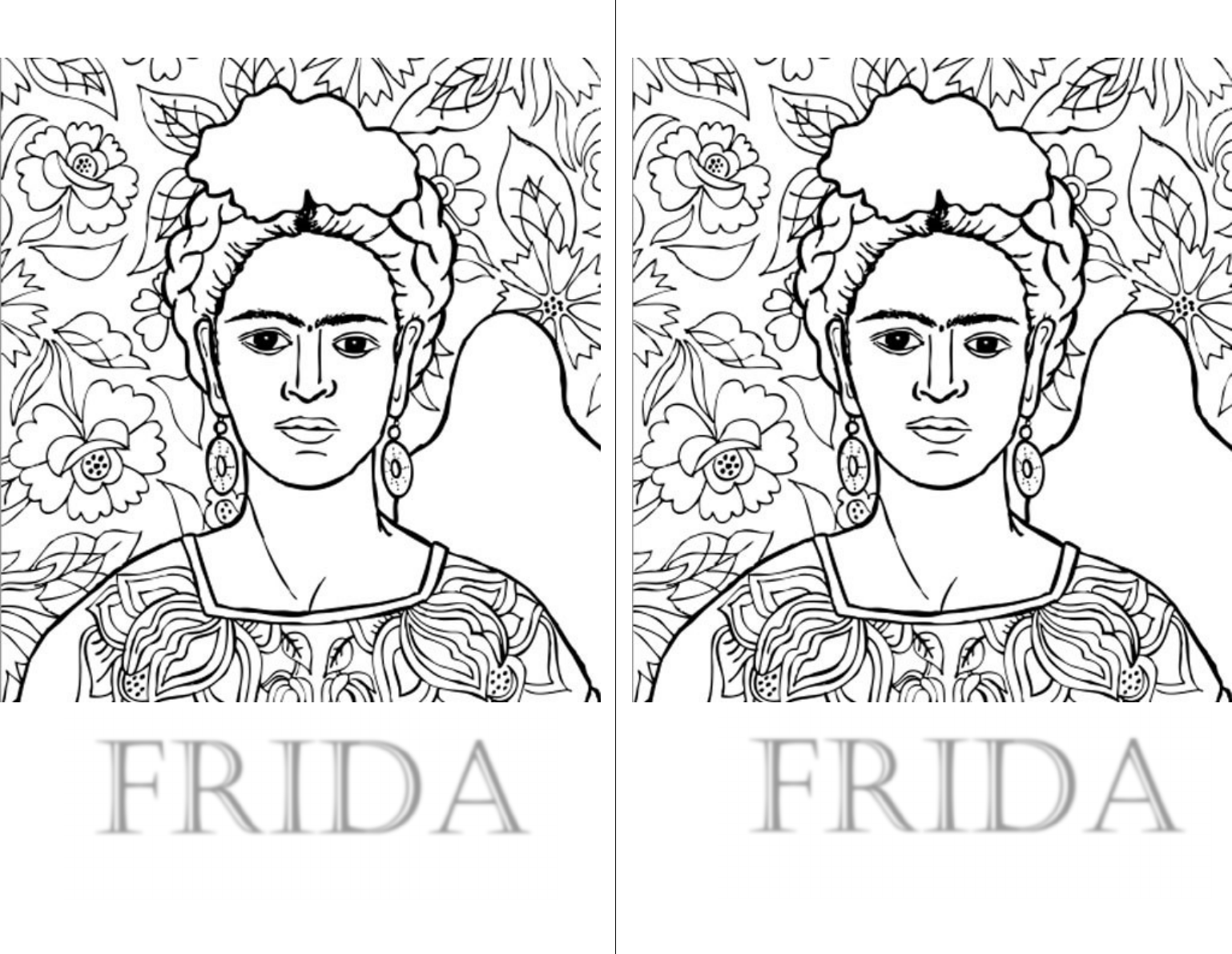 livro de colorir frida kahlo pdf