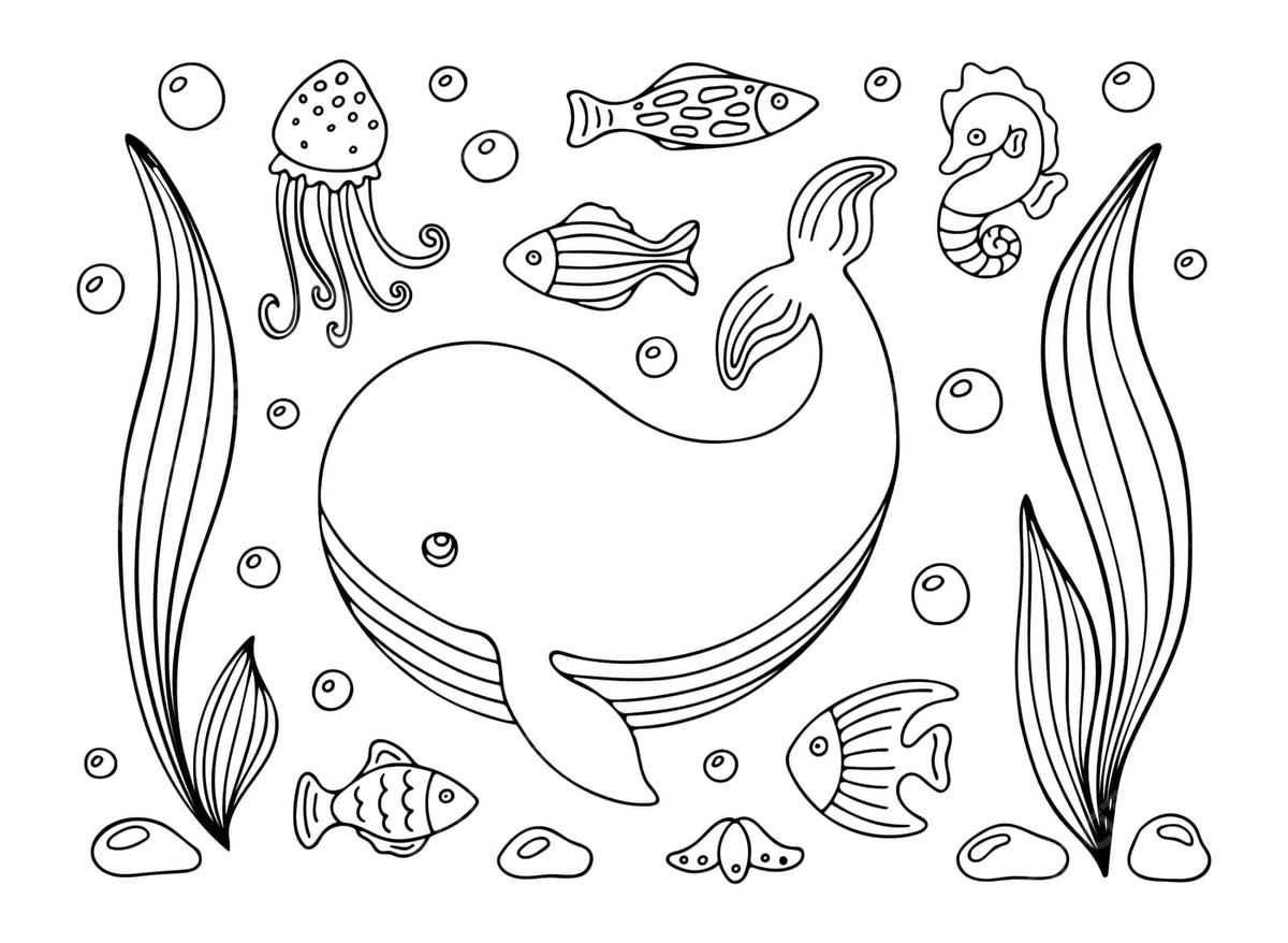 desenhos de animais marinhos para colorir