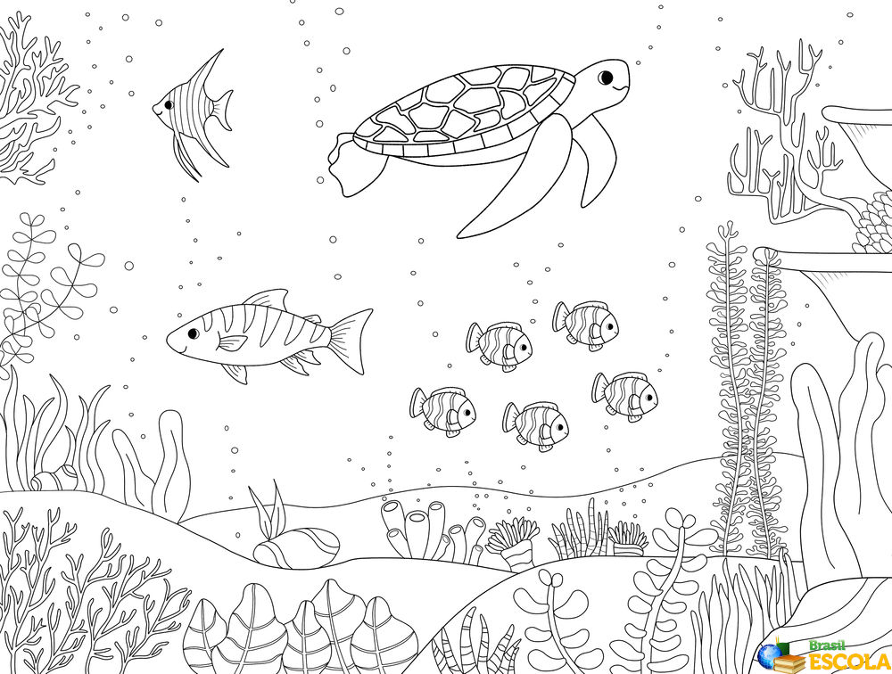 desenhos de tartarugas marinhas para colorir