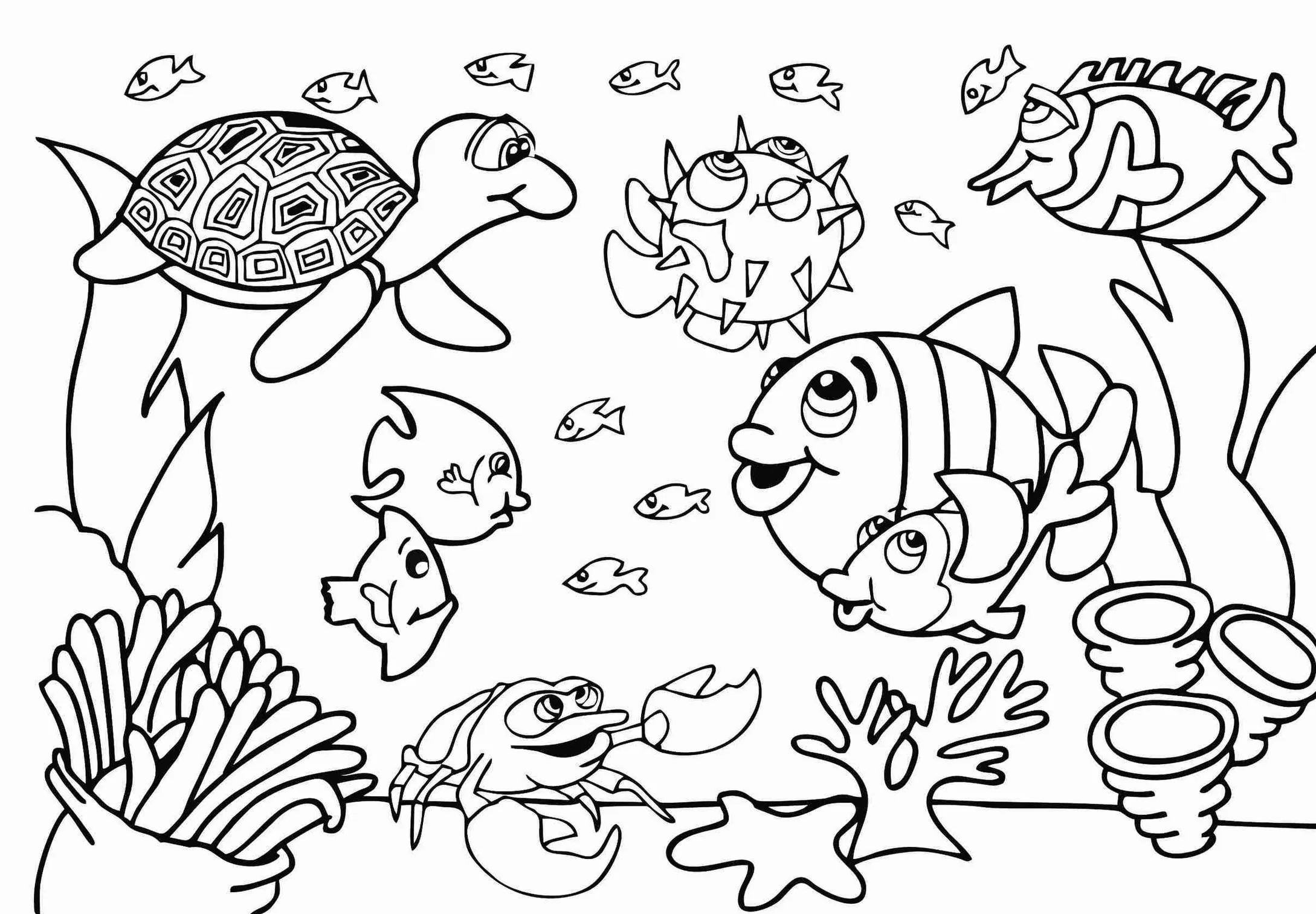 desenhos de golfinhos para colorir