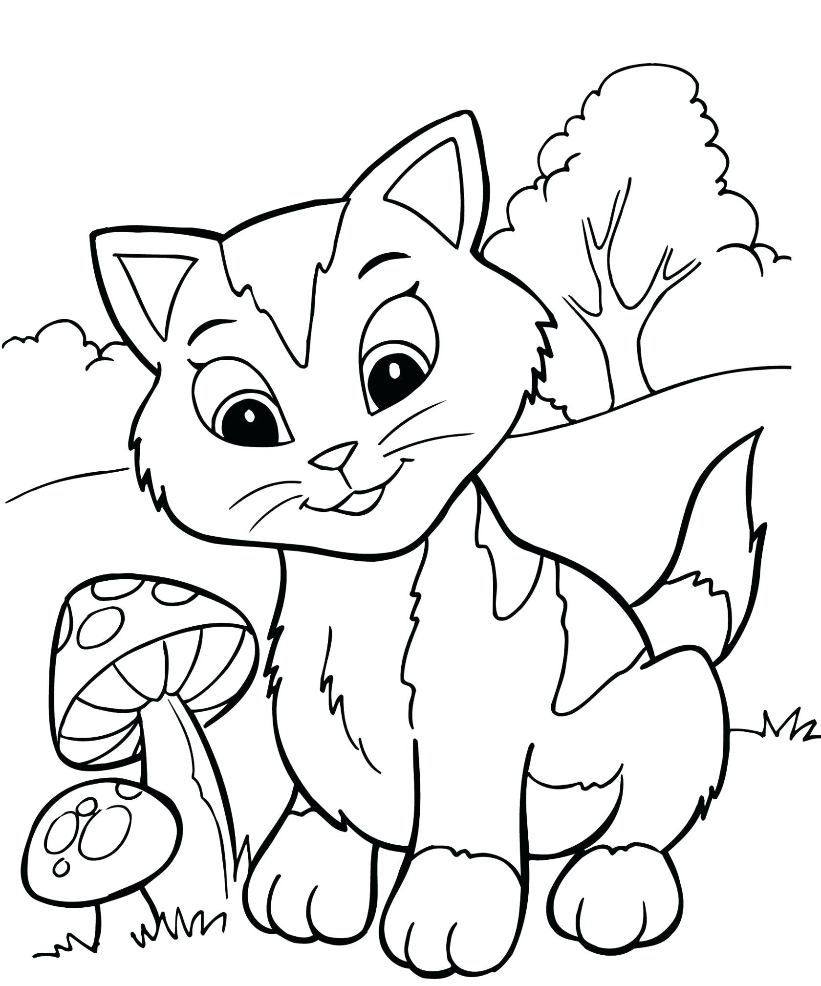 gato para pintar