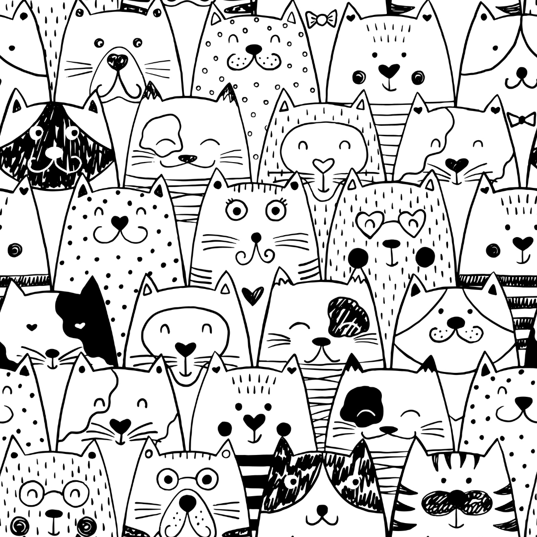 gatinhos para colorir