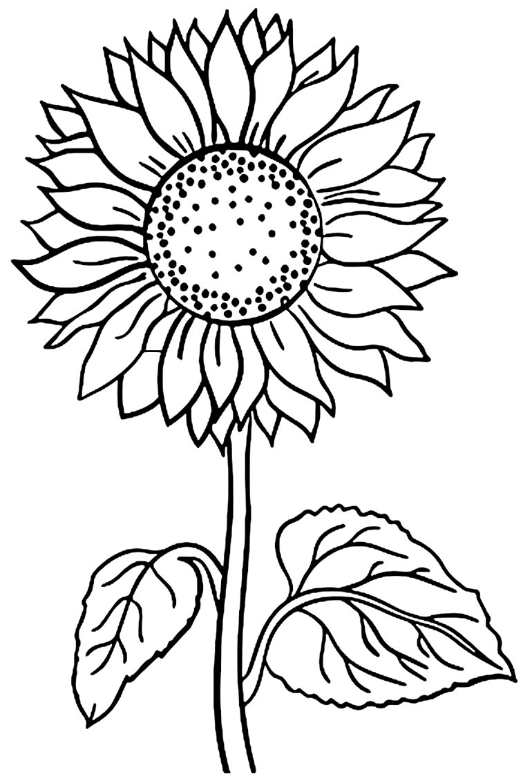 desenho de girassol simples para colorir