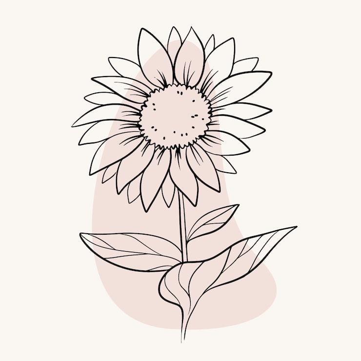 desenho de girassol simples para colorir
