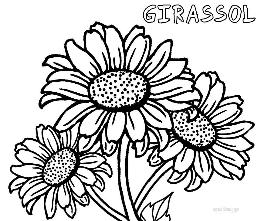 desenho de girassol para imprimir e pintar