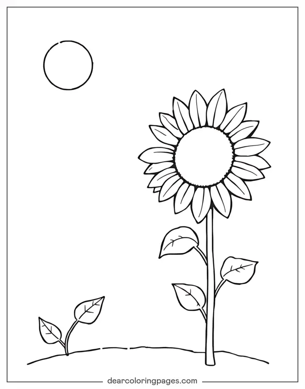 desenho de girassol em PDF