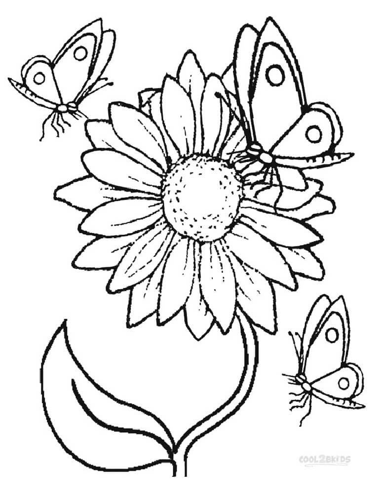como desenhar um girassol passo a passo