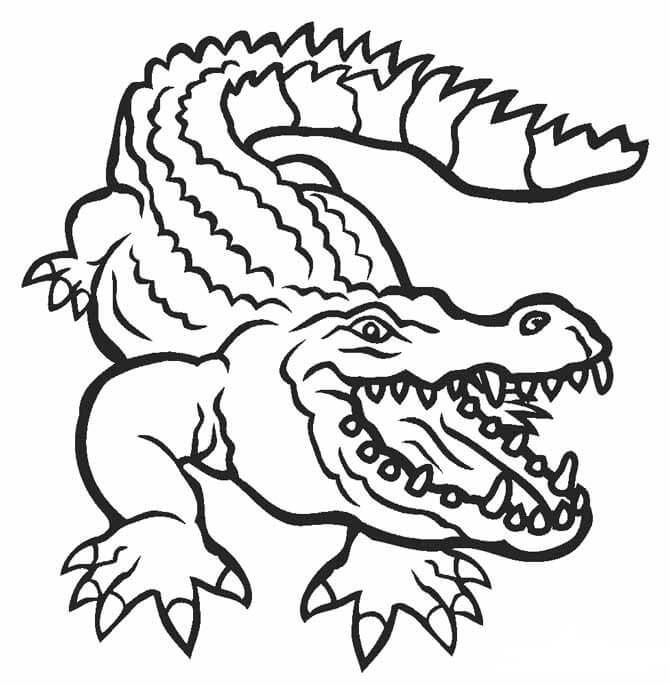 animais do pantanal para colorir