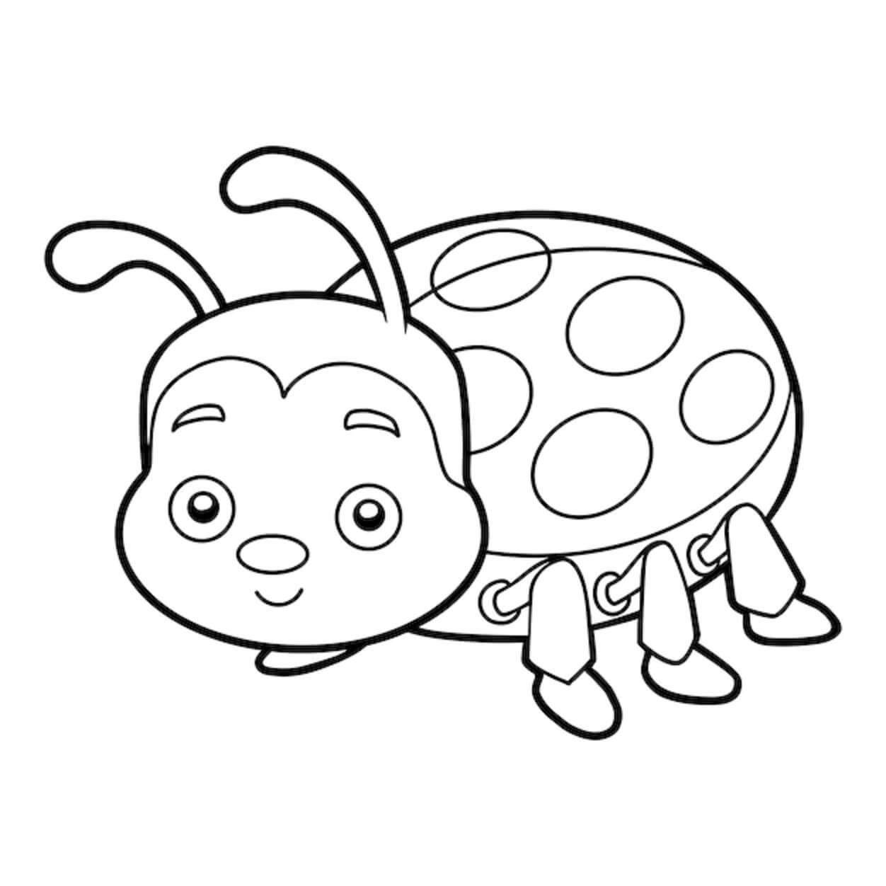 páginas para colorir de insetos