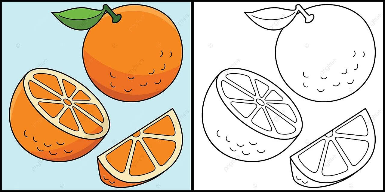 laranja para imprimir e colorir
