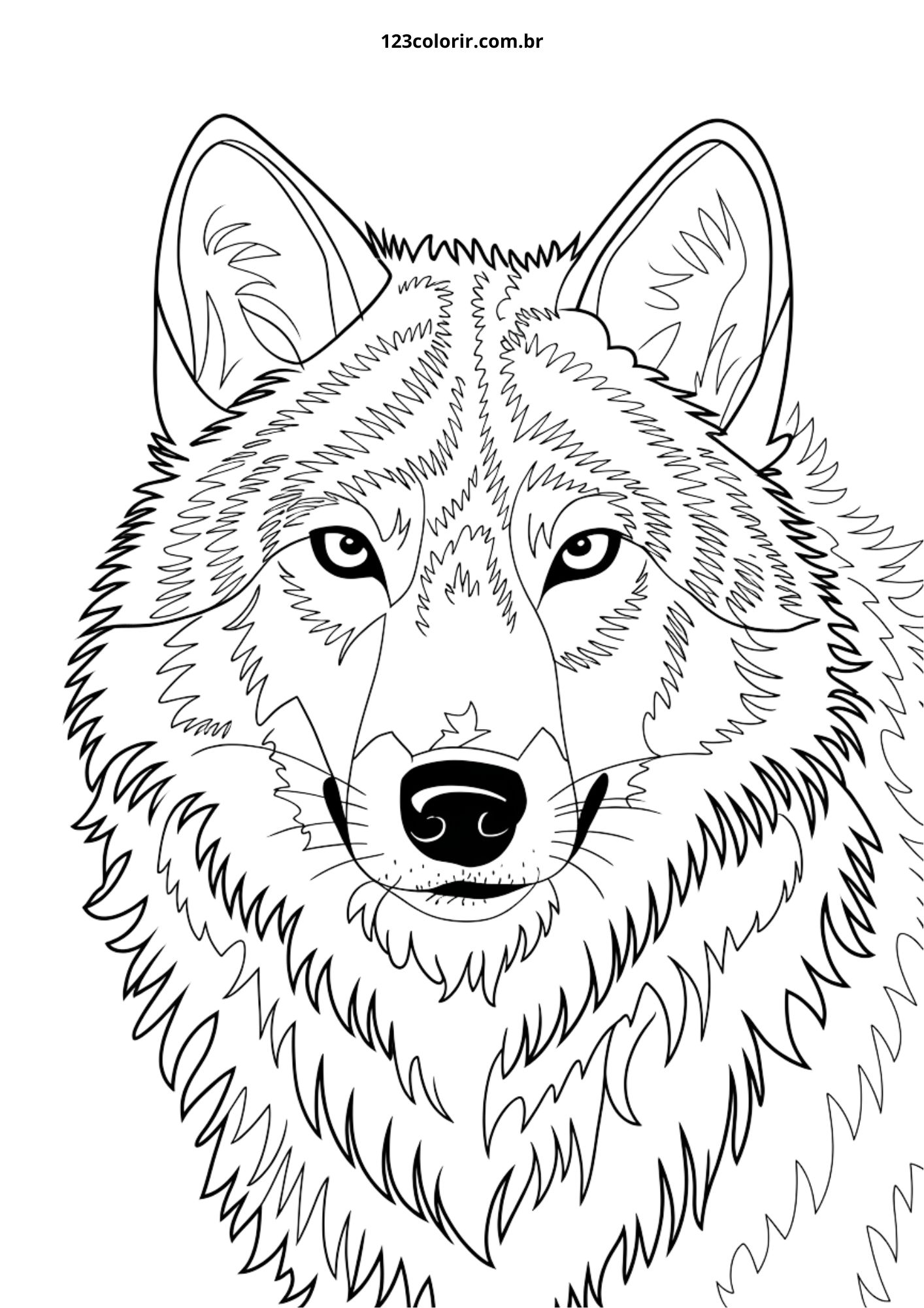 lobo para colorir pdf