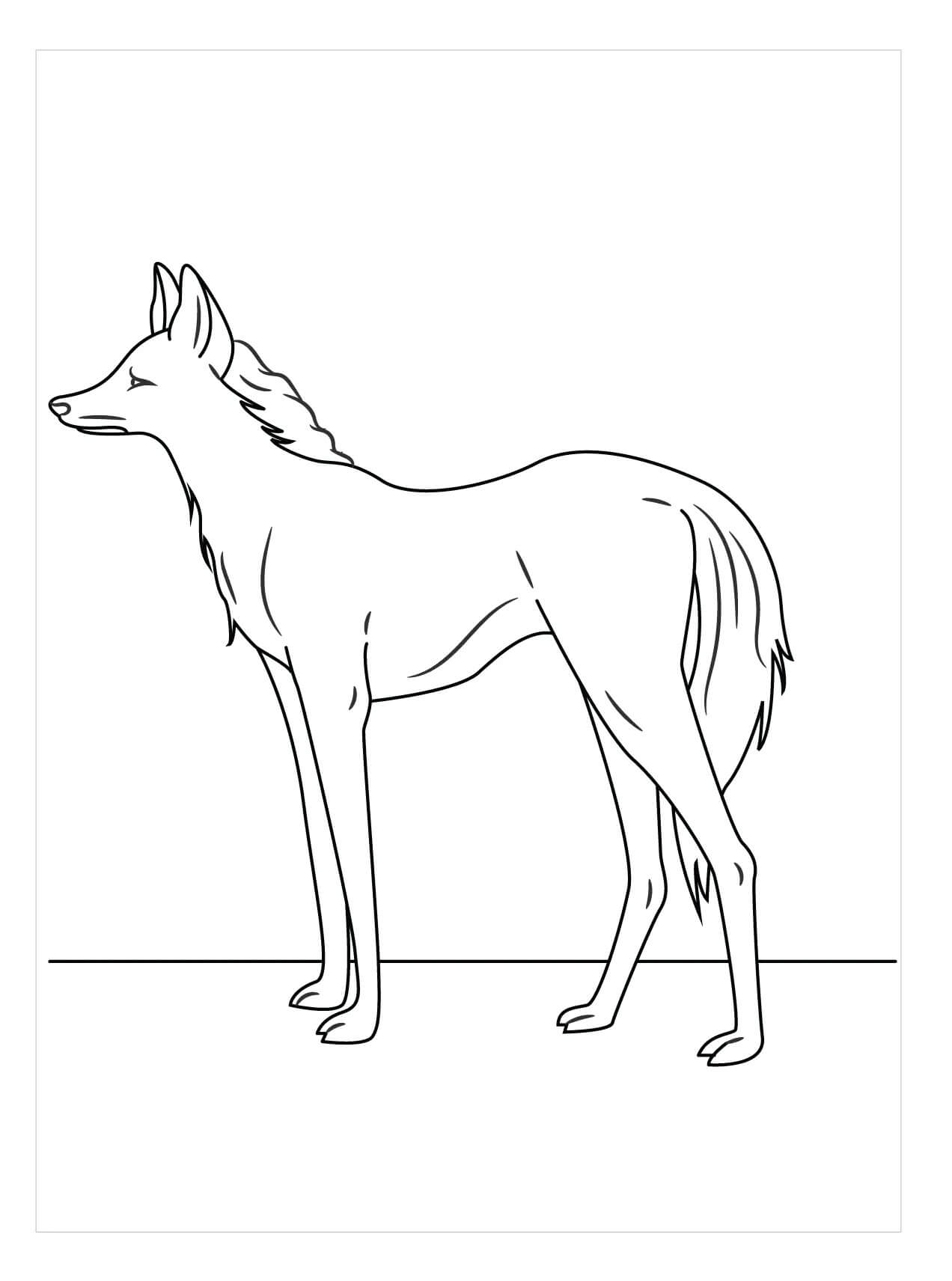 desenho de lobo geometrico para colorir