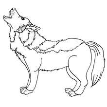 lobo para pintar online