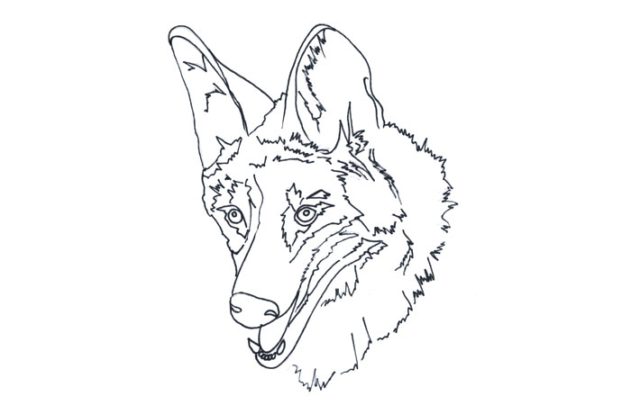como desenhar lobo guará