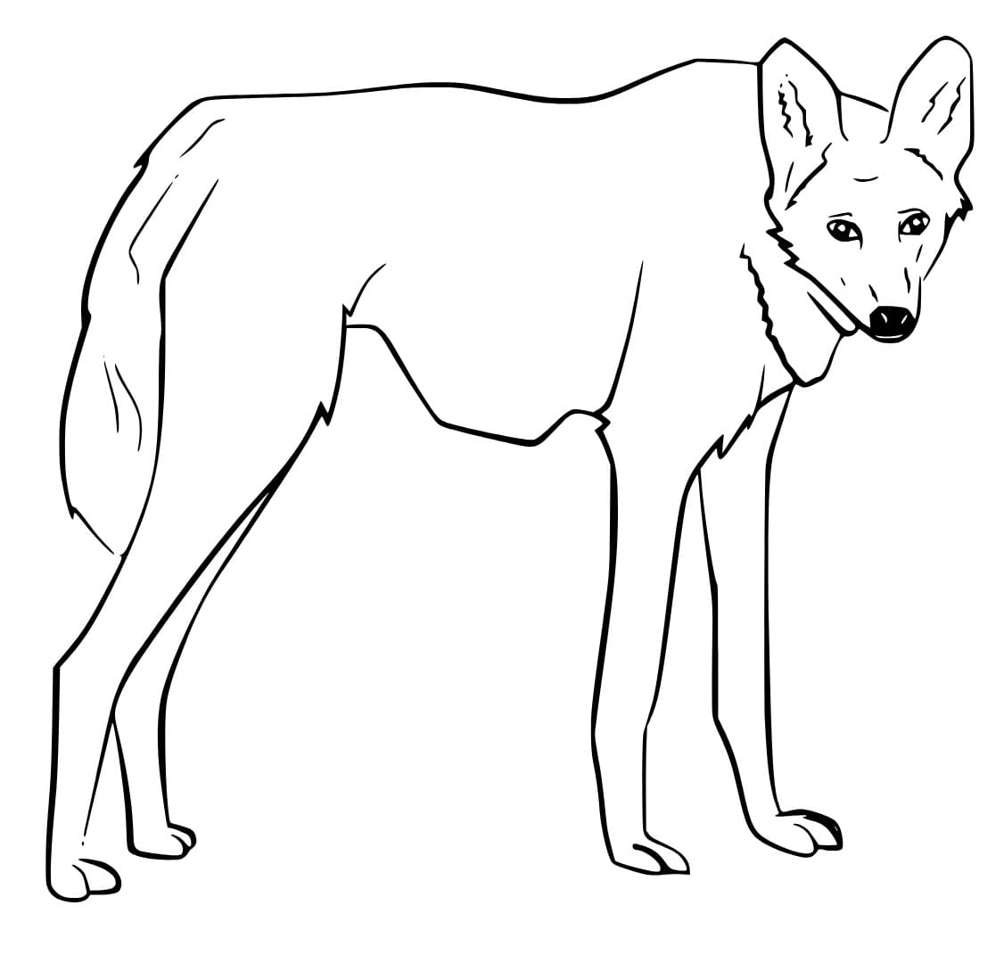 atividade infantil lobo guará