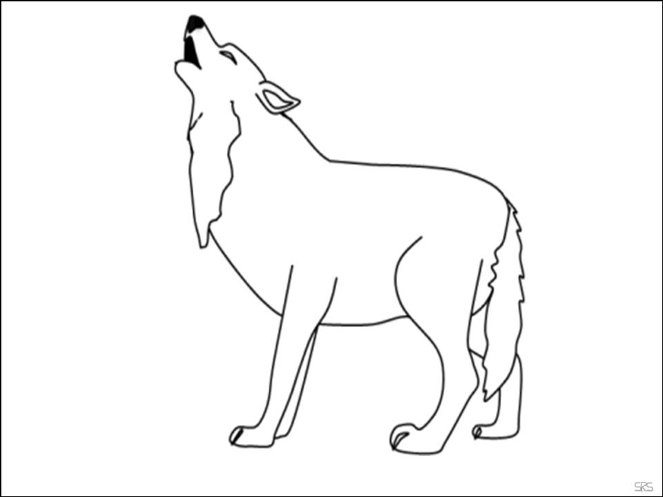 desenhos de canídeos sul-americanos para colorir