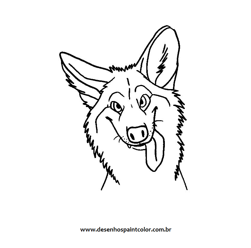 desenhos de canídeos sul-americanos para colorir
