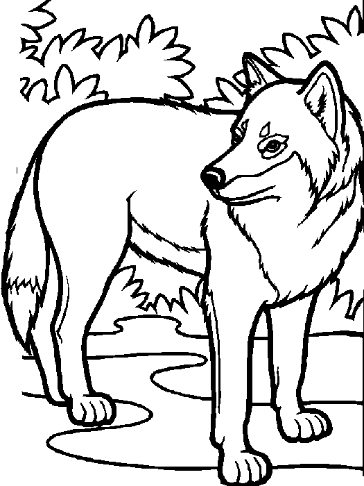 lobo guará para pintar