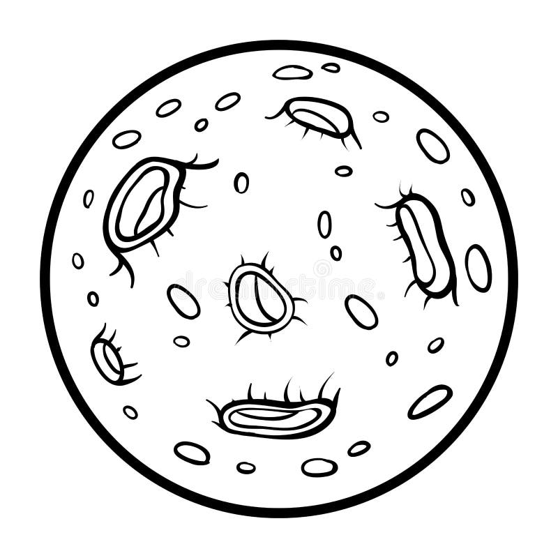 desenho lua nova para colorir